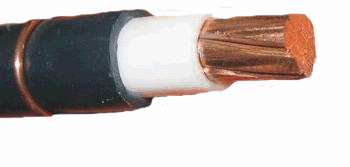  1*50